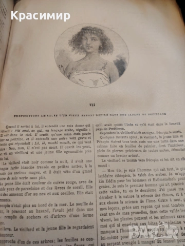 VICTOR HUGO. LE RHIN. ТИРАЖ 160 бр.1892 г. , снимка 14 - Колекции - 54655263