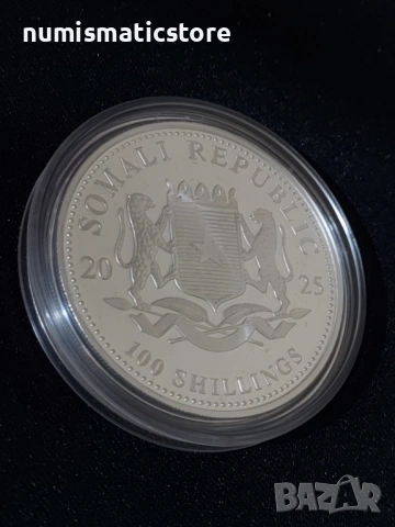 Сомалия 2025 - 100 Шилинга - Слон, 1 OZ - Сребърна монета, 1 унция, снимка 4 - Нумизматика и бонистика - 54496577