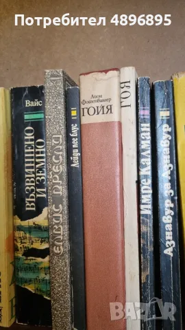 ​Колекция биографични книги за велики музиканти, художници и актьори (Лот 11 книги)a, снимка 3 - Биографии, мемоари и спомени - 55412557