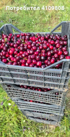 Продава