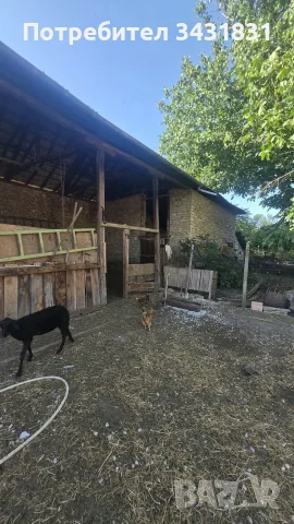 Голяма къща с голям двор в с. Долна Липница с кладенец, цена 55 000€, снимка 17 - Къщи - 55461875