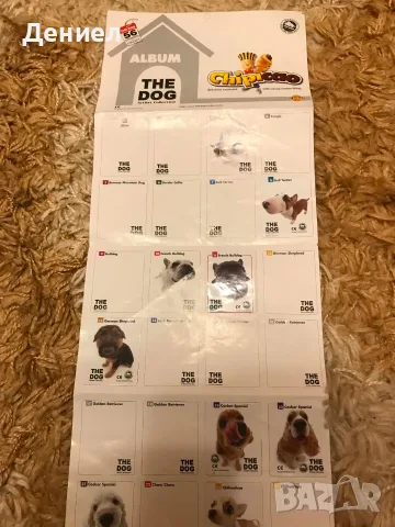 The Dog Chipicao Album - Чипикао Кучешки Албум - колекционери!, снимка 2 - Колекции - 55695643