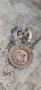 шенкел главина дискове бмв е46 318 118кс bmw e46, снимка 1