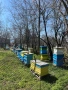 Многокорпусни кошери , снимка 3