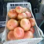 Продавам Розов домат, снимка 4