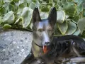 СТАР ПОРЦЕЛАН КУЧЕ НЕМСКА ОВЧАРКА МАРКИРАН , снимка 2