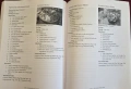 Библия на италианските вина / The Italian Wine Bible, снимка 14