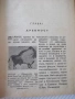 Книга "История на изкуството - Луи Уртик" - 96 стр., снимка 3