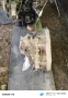 скоростна кутия за Land Rover freelender 2.0 td4 112k.c., снимка 2