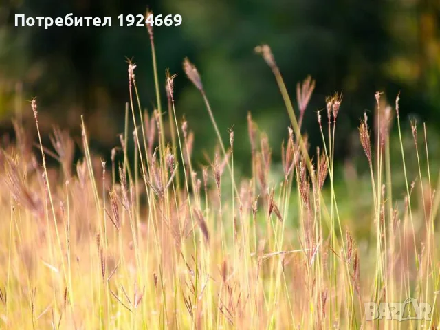 Гирлянд Коледна светещо LED топки 50 светлинки 7A8Q, снимка 4 - Стойки, 3D очила, аксесоари - 55445673