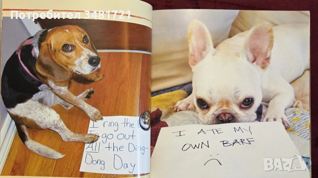 Dog Shaming, снимка 5 - Други - 55064833