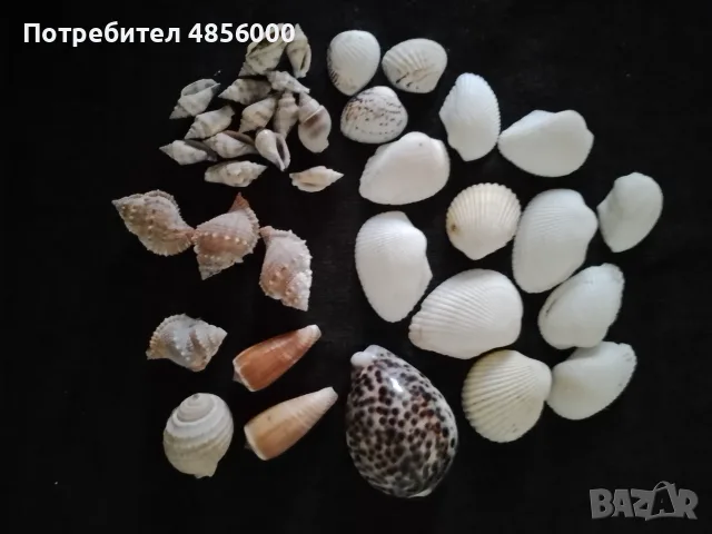 Малки декорации за дома, снимка 14 - Декорация за дома - 55365501