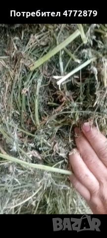 Чиста Люцерна .Люцерна и сено мешено