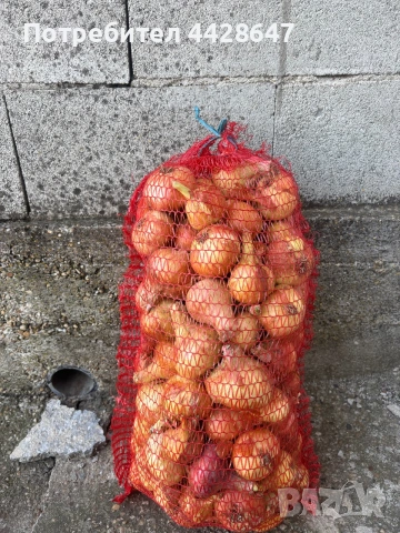 Продавам Български лук(лясковец 55)