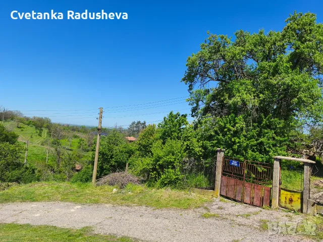Продавам къща и двор с изглед към р. Дунав, снимка 3 - Къщи - 55469993