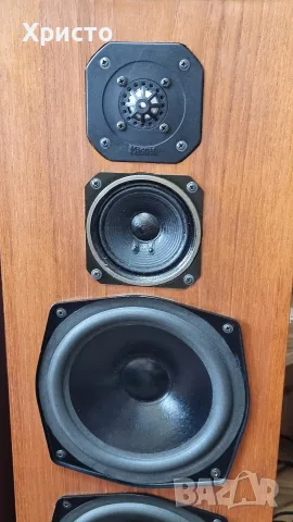 Тонколони Magnat Sonobull 35, снимка 9 - Тонколони - 55378498