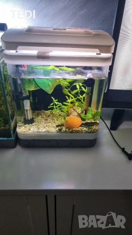 Аквариум 9л.