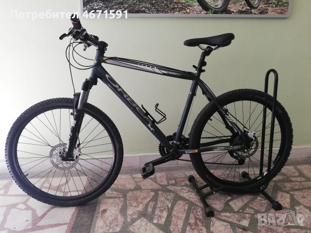 Orbea Sport