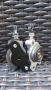 Ktm Sx Exc Sxf Xcf Xcw 125 - 500 Gas gas Husqvarna Ктм Хускварна Гас гас долна помпа съединител , снимка 8