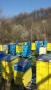 Продавам ранни пчелни отводки, снимка 4