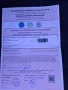 Немски овчарки, снимка 11