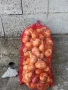 Продавам Български лук(лясковец 55), снимка 1