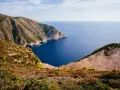 Гребло за листа многофункционално с дълга дръжка 2W4M, снимка 1