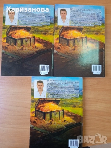 Вълчан войвода, книги от 1 до 3 , снимка 2 - История, политика и общество - 55212036