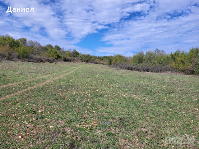 Продавам земя  в село Малко Тръново, снимка 5 - Земеделска земя - 55045003