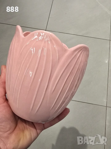 саксии кашпи 