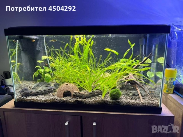 Продавам два аквариума Ciano 60 черен и Dennerle Nano Cube 20L LED с пълно оборудване и консумативи, снимка 3 - Аквариуми - 55085214