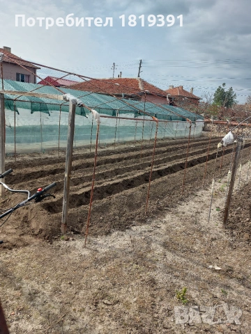 Оранжерия, снимка 4 - Оранжерии - 54182410