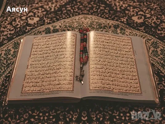 Ходжа АйшенурСъбиране на разделени двойки Гарантиран резултат на 1000%