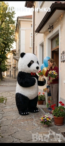 Карнавални костюми  Бяло мече изненада- Стич - Мики маус - Мини маус и др. , снимка 8 - Детегледачки, детски центрове - 50966206