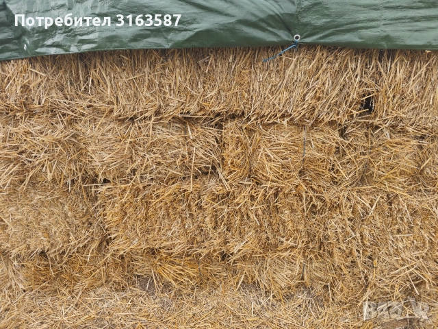 Бали пшенична слама 