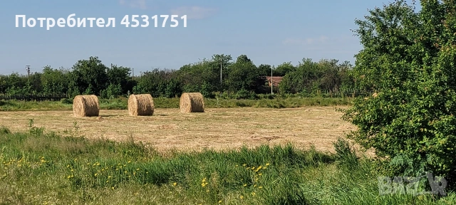 Сено от големи бали, снимка 2 - За селскостопански - 55085950