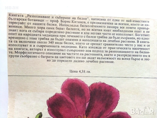 Разпознаване и събиране на билки - Борис Китанов - 1987г., снимка 5 - Енциклопедии, справочници - 54760644