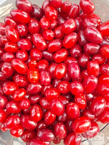 Мармалад и сироп от дренки, снимка 7 - Домашни продукти - 54350025