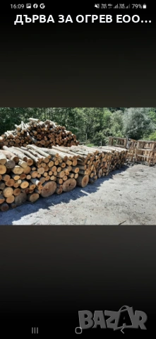 здравейте сега е перфектното време запасите с сурови дърва които до студените месеци ще бъдат готови, снимка 3 - Дърва за огрев - 54921735