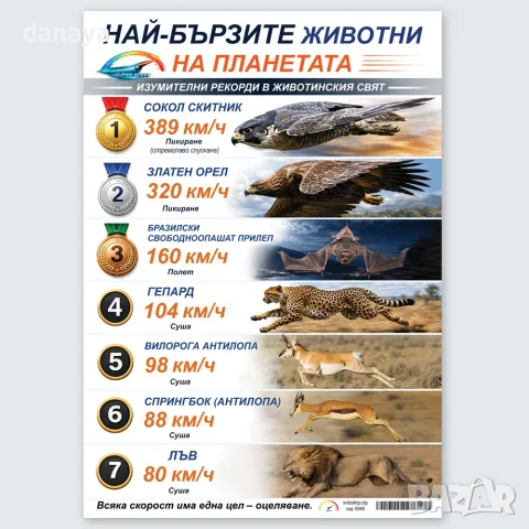 6949 Най-бързите животни на планетата табло А3, ламинирано