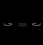 Топ Цена - К-кт Оригинални гумени стелки за предната част на автомобил Audi A3 (8P) или Audi TT (8J), снимка 2