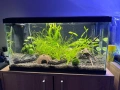 Продавам два аквариума Ciano 60 черен и Dennerle Nano Cube 20L LED с пълно оборудване и консумативи, снимка 3