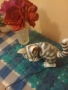 Порцеланова котка за декор, снимка 3
