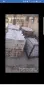 варов разтвор, хоросан, снимка 2