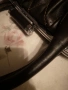 Страхотна естествена кожа Chanel , снимка 4