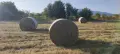 Продавам Рулонни Бали Сено, село Ковачевци, Самоковско, снимка 5