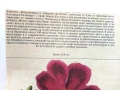 Разпознаване и събиране на билки - Борис Китанов - 1987г., снимка 5