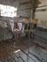 Фазани                     ., снимка 4