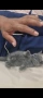  котенца британска късокосместа, снимка 4
