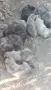 Свободни Кангали линия Чапар ., снимка 1